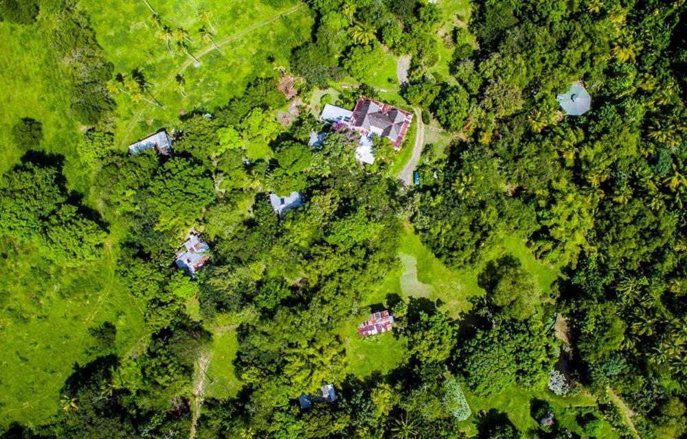 Вилла Balenbouche Estate Laborie Экстерьер фото