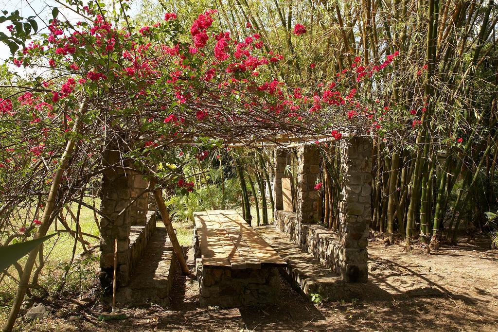 Вилла Balenbouche Estate Laborie Экстерьер фото